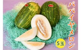 印西の特産品 パパイヤメロン 5玉｜フルーツ 果物 ギフト 旬 ...