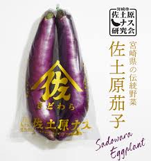宮崎県特産品【佐土原茄子】佐土原茄子10本 : sadowaranasu-10 ...