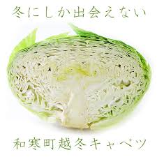 越冬キャベツ 10kg (北海道和寒町特産品) | 吉粋(きっすい ...