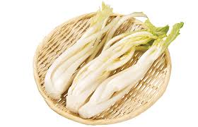 雪菜（ゆきな）｜伝統野菜｜山形のうまいもの｜おいしい山形 ...