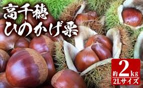 数量限定・期間限定＞期間限定 ひのかげ栗(2kg)生栗 和栗 くり ...