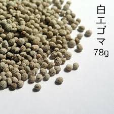 楽天市場】じゅう ねん えごまの通販