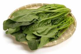 愛知県海部郡[飛島村]の農作物 | いも類, 米, 麦類, 野菜 | 生産 ...