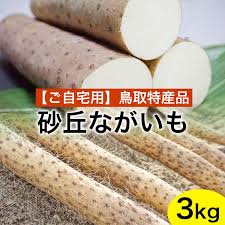753．【ご自宅用】鳥取特産品 砂丘ながいも（カット）3kg ...
