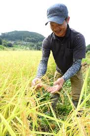 棚田で米作り奮起／美咲町大垪和西地区 | JA晴れの国岡山