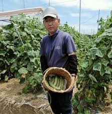 国分寺市で馬込半白キュウリを栽培する濱仲充さんを訪ねて話を ...