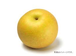 第291回プレゼント企画 JA北つくば【いばらきの秋梨 ...