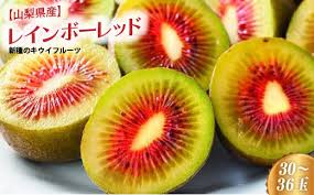 山梨県産】新種のキウイフルーツ(レインボーレッド) 30～36玉 ...