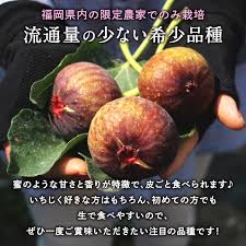 とよみつひめ】福岡県限定生産の希少いちじくを産地直送でお届け ...