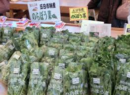 のらぼう菜を購入できる場所