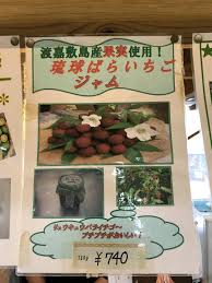 沖縄旅行で記念に！渡嘉敷島のお土産紹介！島産の「琉球ばら ...