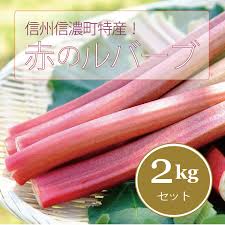 本年度は6月5日まで受付！】信州信濃町特産「ルバーブ（赤）2 ...