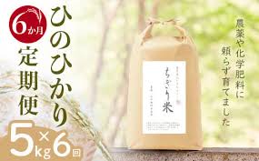 令和6年新米・先行受付】ひのひかり ちぎり米 5kg【佐賀県産 米 ...
