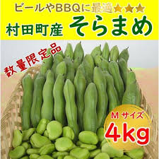期間限定】そらまめ 約4kg Mサイズ 宮城県村田町産 | 宮城県村 ...