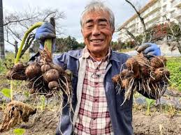 農産物紹介 JAグループ岡山 笑味（えみ）ちゃん天気予報 | RSK ...