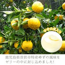 楽天市場】【ふるさと納税】ゆずゼリー(30個) 鹿児島県産 ゆず ...