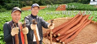 岡山県「明治ごんぼう」｜フードアルチザンのおすすめ｜フード ...