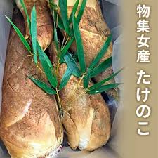 楽天市場】【ふるさと納税】たけのこ 京都向日市物集女産 野菜 ...