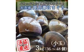 大洗産鹿島灘天然はまぐり 3㎏ 冷蔵 お吸い物 ハマグリ 蛤 貝 砂 ...