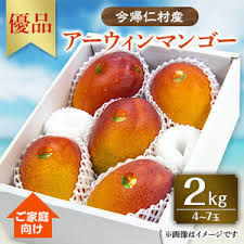 先行受付・2025年6～8月頃発送】今帰仁村産アーウィンマンゴーご ...
