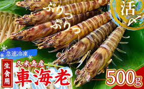 久米島漁協】活〆冷凍車海老 生食用500g 海の幸 海鮮 車えび ...