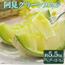 楽天市場】【ふるさと納税】20-31 メロン 4L～5L 2～3玉 約5.5kg ...