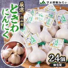 JA津軽みらいの厳選ときわにんにく個包装24玉 | 青森県藤崎町 ...