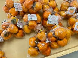 長泉町】四ッ溝柿並んでいます！ | しずおか農山村サポーター ...