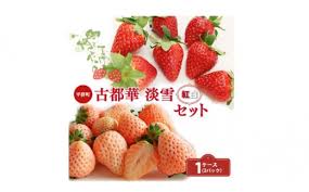 奈良県平群町の平群町のいちご 古都華（ことか）特集 ...
