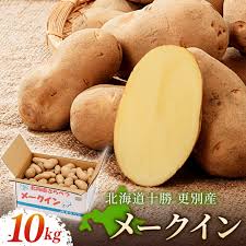 楽天市場】【ふるさと納税】令和6年産メークイン 10kg 1箱 先行 ...