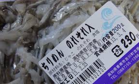チリメン ノレソレ : 土佐料理 旬の鰹がゆく！