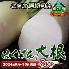 北海道 釧路町産> 大根(だいこん)5kg <2024年9月～10月発送 ...