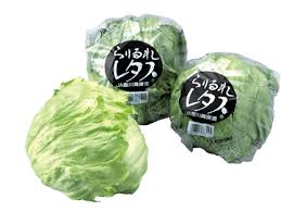 野菜：レタス | JA香川県 - 香川県農業協同組合