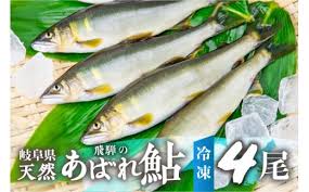 あゆのふるさと納税 カテゴリ・ランキング・一覧【ふるさと ...