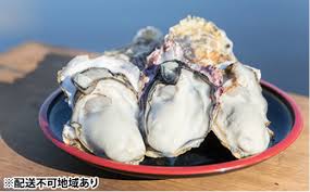 牡蠣 2025年先行予約 モリ旬 牡蠣 殻付き 約3kg 岡山県 瀬戸内市 ...