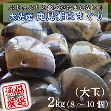 大洗産鹿島灘天然はまぐり 2kg冷蔵 お吸い物 ハマグリ 蛤 貝 砂 ...