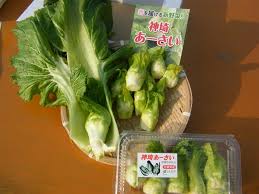 佐賀県産 神埼あーさい 100g×10パック: さが風土館 季楽|【JA ...