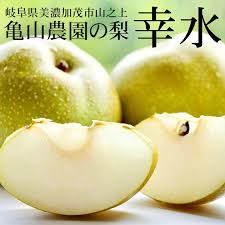 楽天市場】亀山農園の梨 幸水 2.5kg以上(5〜8玉) 岐阜県美濃加茂 ...