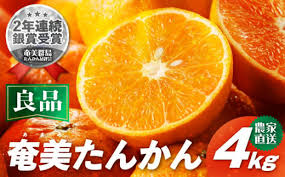 2025年先行予約】農家直送 奄美たんかん 良品 4kg A067-001 ...