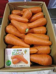 春を呼ぶ「ここ惚れにんじん（2020年11月) | 茨城県農業総合センター