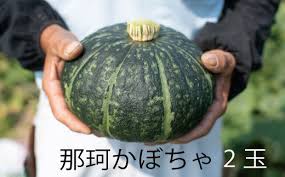 那珂かぼちゃ - 茨城県那珂市｜ふるさとチョイス - ふるさと納税 ...