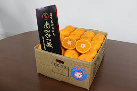 甘くておいしい「あんみつ姫」をぜひ！［佐賀市シティ ...