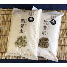 飯豊米 つや姫 白米10kg 山形県飯豊町産 若手農家が土づくりから ...