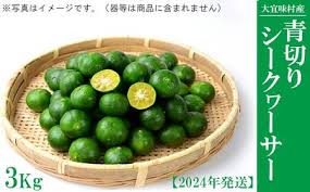 大宜味村 青切りシークワーサー 3Kg【2024年発送】 沖縄 ...