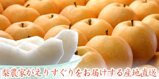 新高梨 美味しい高知県産にいたかなし