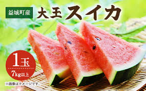 益城町産 スイカ 大玉 1玉 7kg以上 【2024年5月下旬～6月上旬 ...