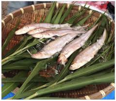 第13回 城島エツ祭 6月26日開催！貴重な希少な魚 エツが食べ ...