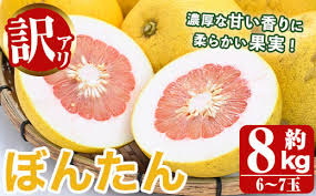 先行予約受付中！2024年12月以降順次発送予定＞訳あり！数量限定 ...
