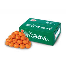 真穴みかん 【サイズおまかせ】 5kg【D43-5】 | 愛媛県八幡浜市 ...