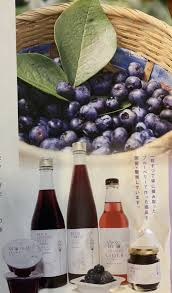 無農薬栽培！】富谷市の名産とみやブルーベリーってどこで買える ...